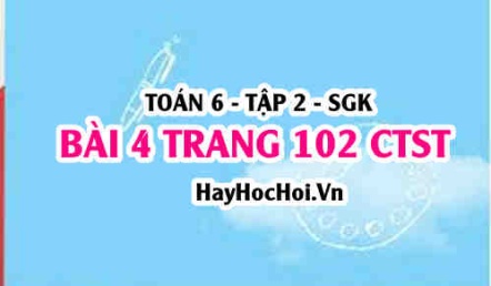 Giải bài 4 trang 102 Toán 6 Tập 2 Chân trời sáng tạo